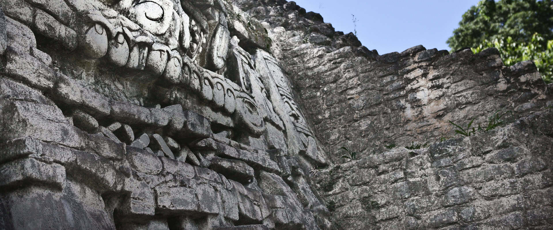Ancient Mayan stone carving with intricate details and historical significance.